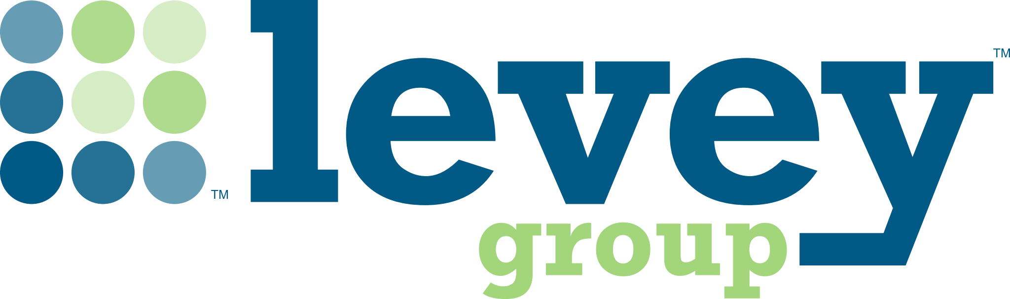 LEVEY_GROUP_LOGO (1)